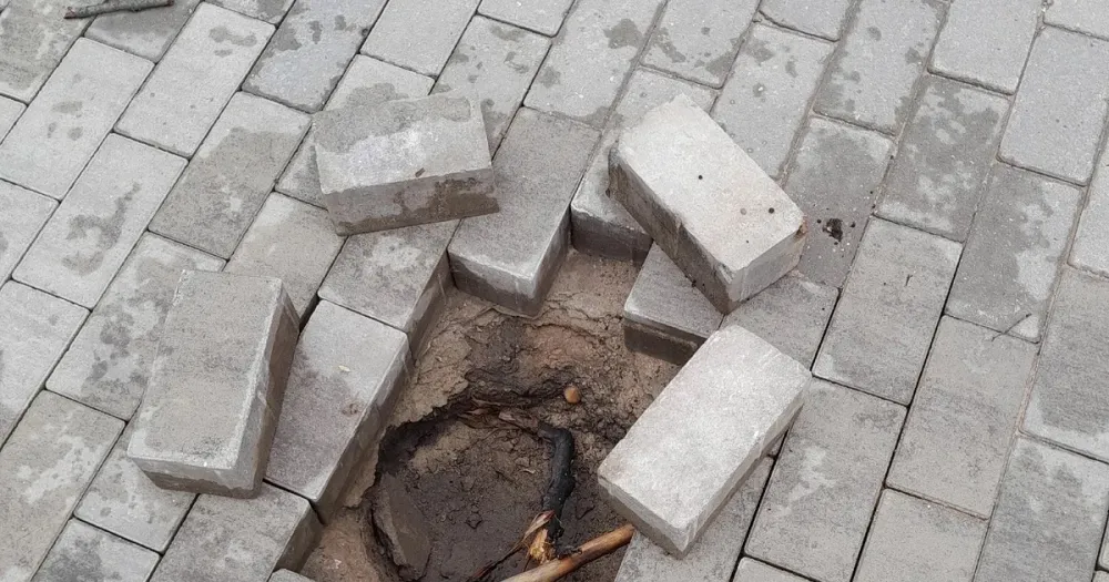 Провалившиеся участки тротуарной плитки у ДК «Гамма» в Ярославле