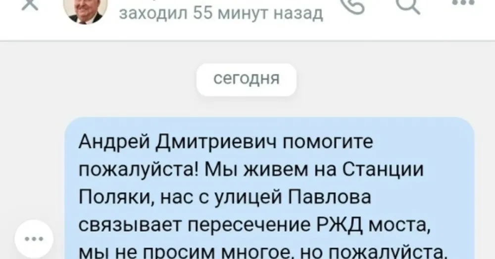 Заросший травой и кустарником проход под железнодорожным мостом в районе Полянки в Ярославле