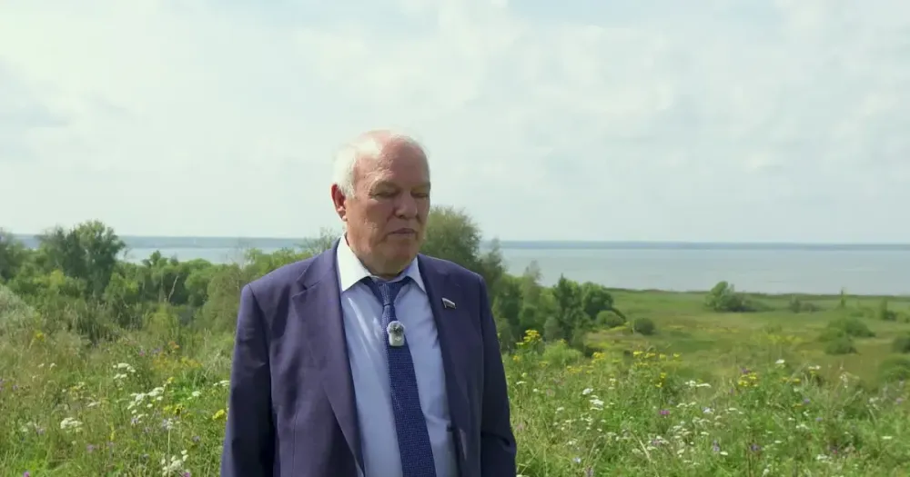 Плещеево озеро задыхается: водоросли-убийцы и краснокнижная ряпушка под угрозой