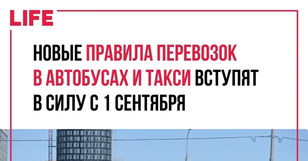 Новые правила для автобусов и такси: спасение или головная боль для Ярославля?