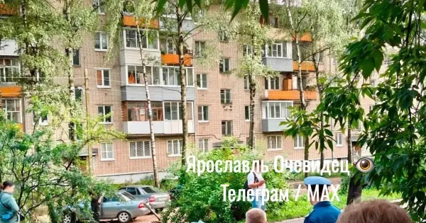 Трагедия на проезде Ушакова: рухнувший тополь убил ярославца
