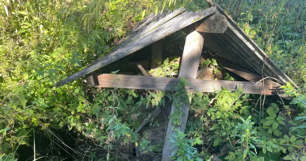 Колодец-ловушка в Лопырево: яма на дороге растёт, чиновники тянут